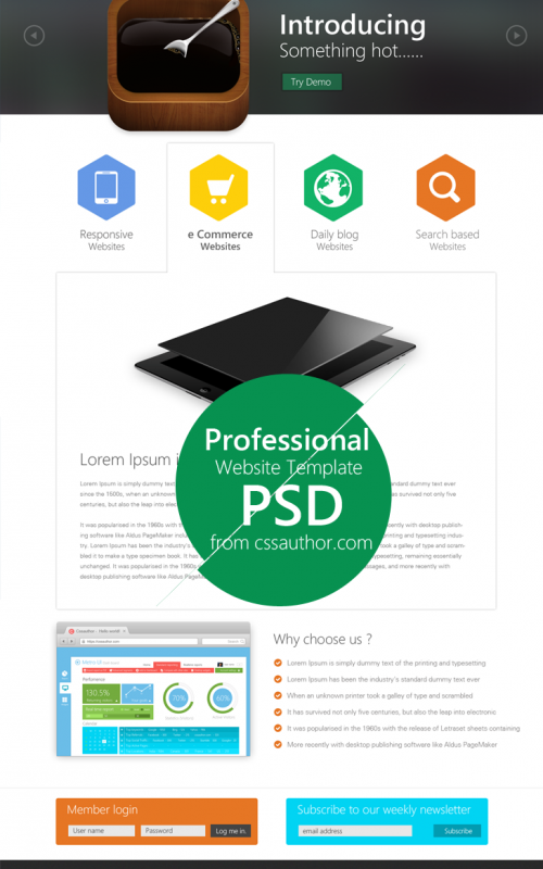 Professional-Website-Template-Design-PSD-from-CSS-Author1-500x800