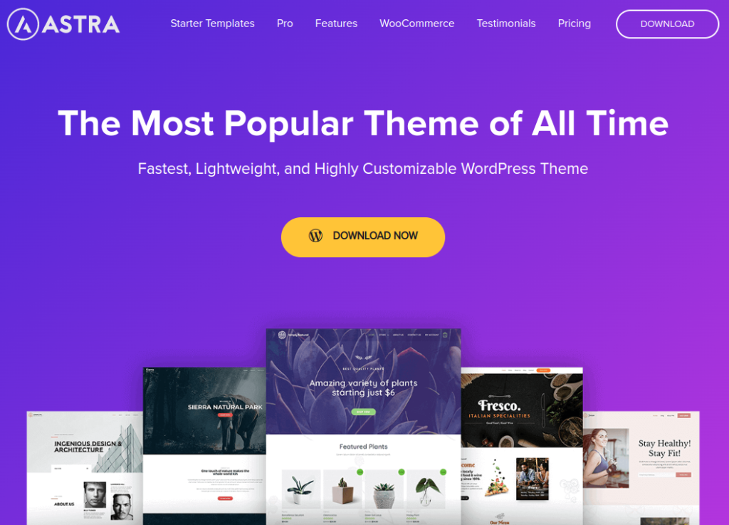 astra wordpress theme